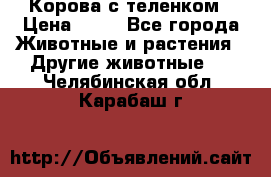 Корова с теленком › Цена ­ 69 - Все города Животные и растения » Другие животные   . Челябинская обл.,Карабаш г.